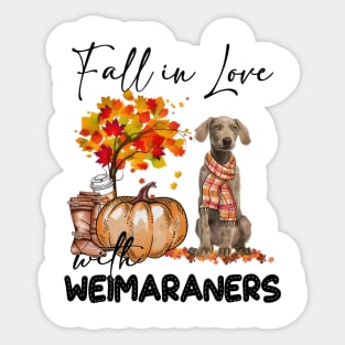 Fall In Love With Weimaraners Fall Pumpkin Thanksgiving Sticker